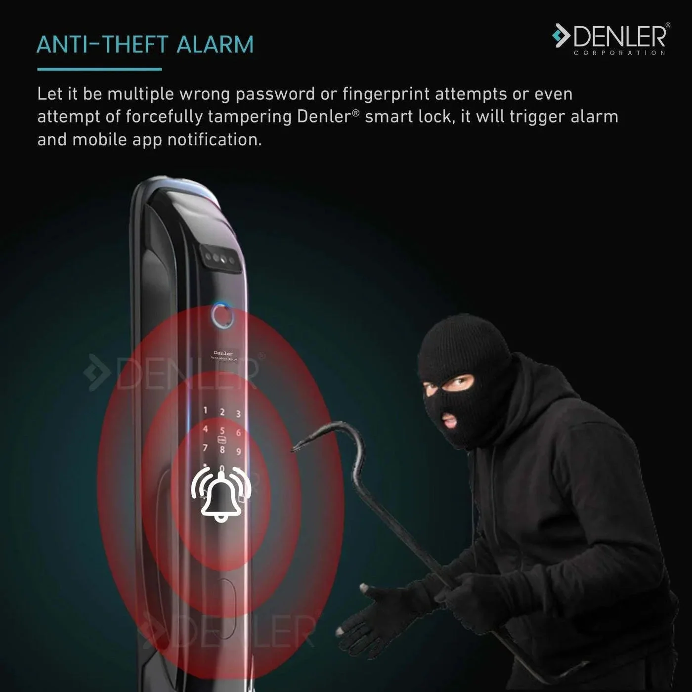Denler DL02 product image 4