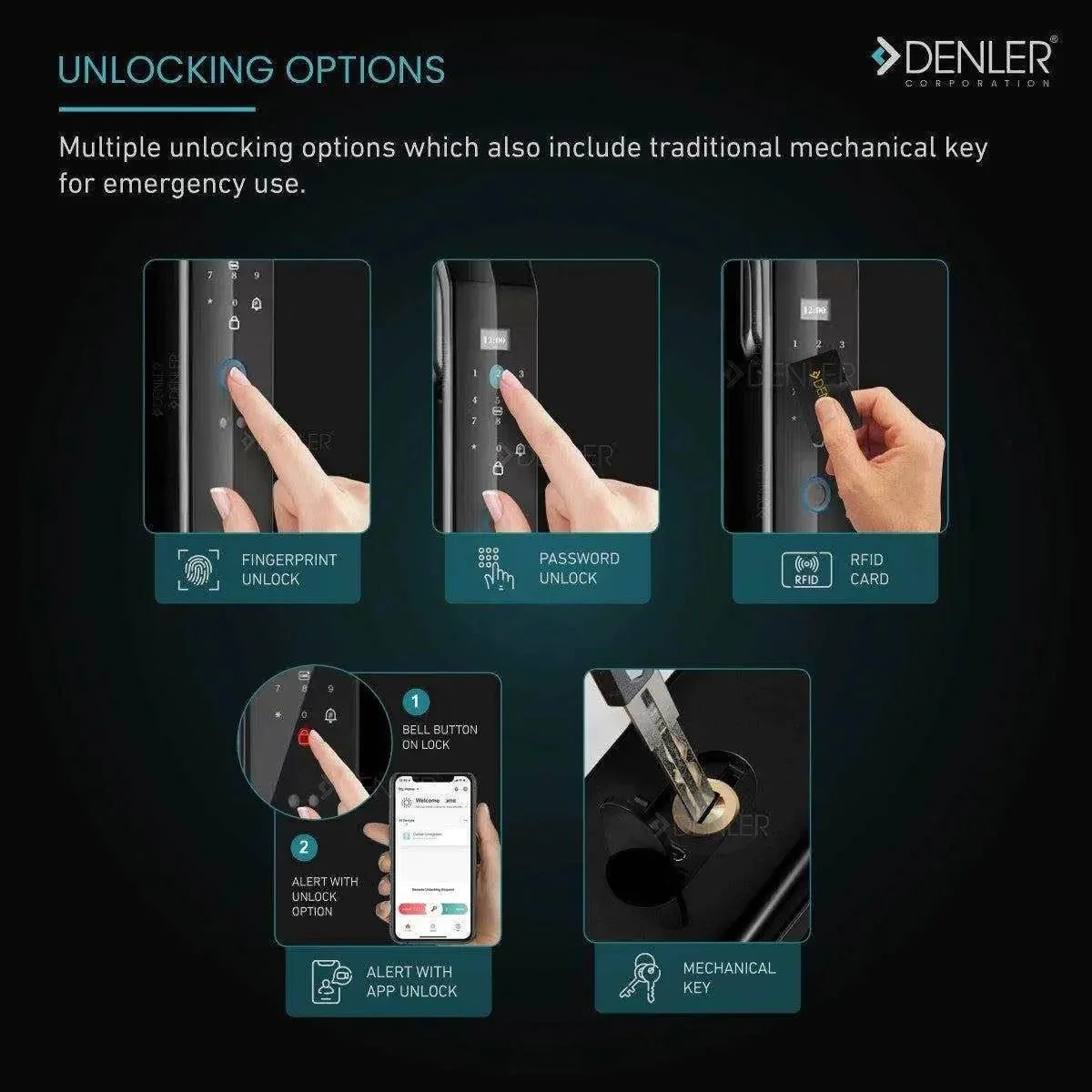 Denler F1 product image 2