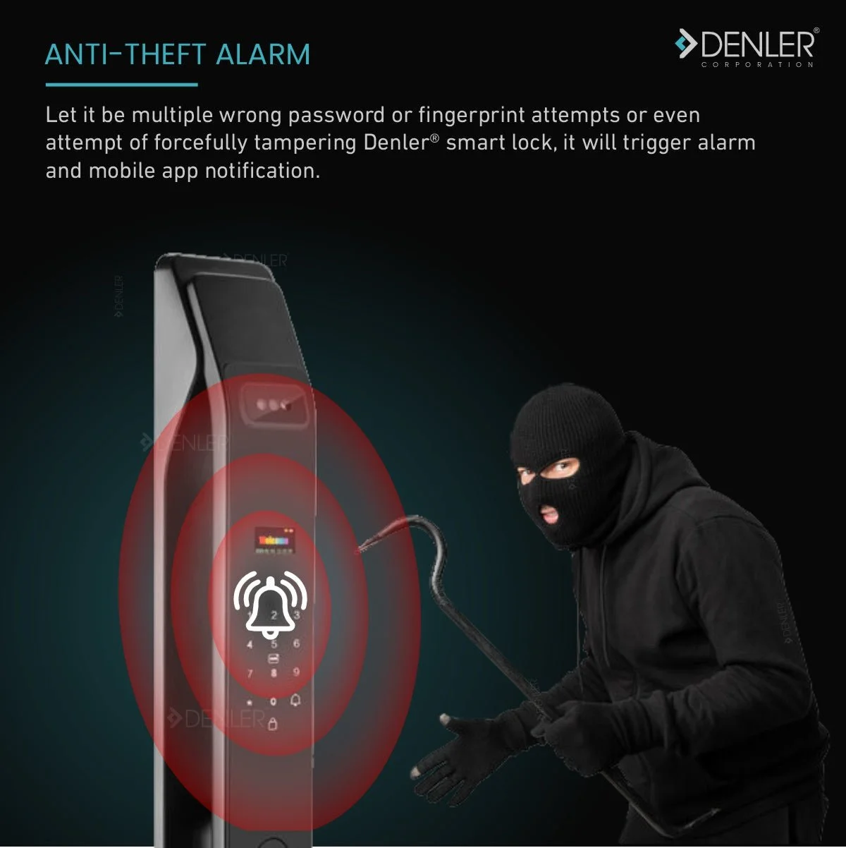 Denler F4 Pro product image 5