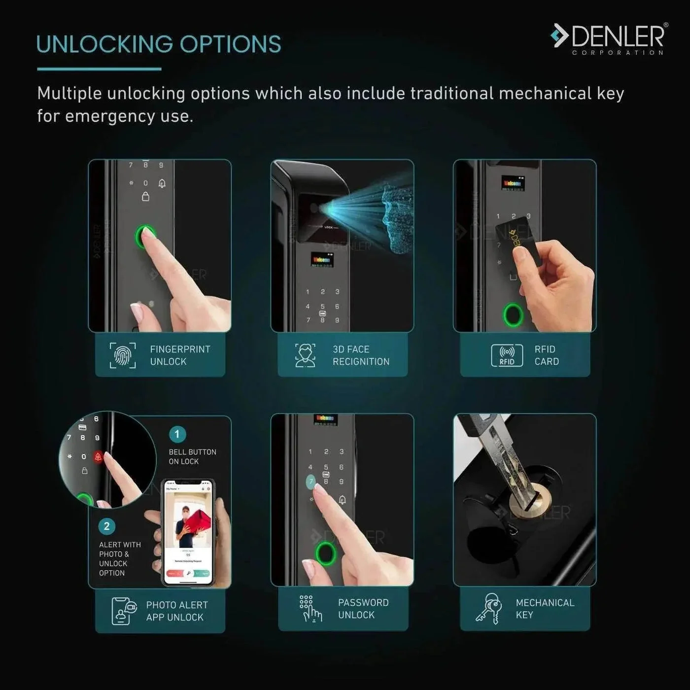 Denler F6 product image 2