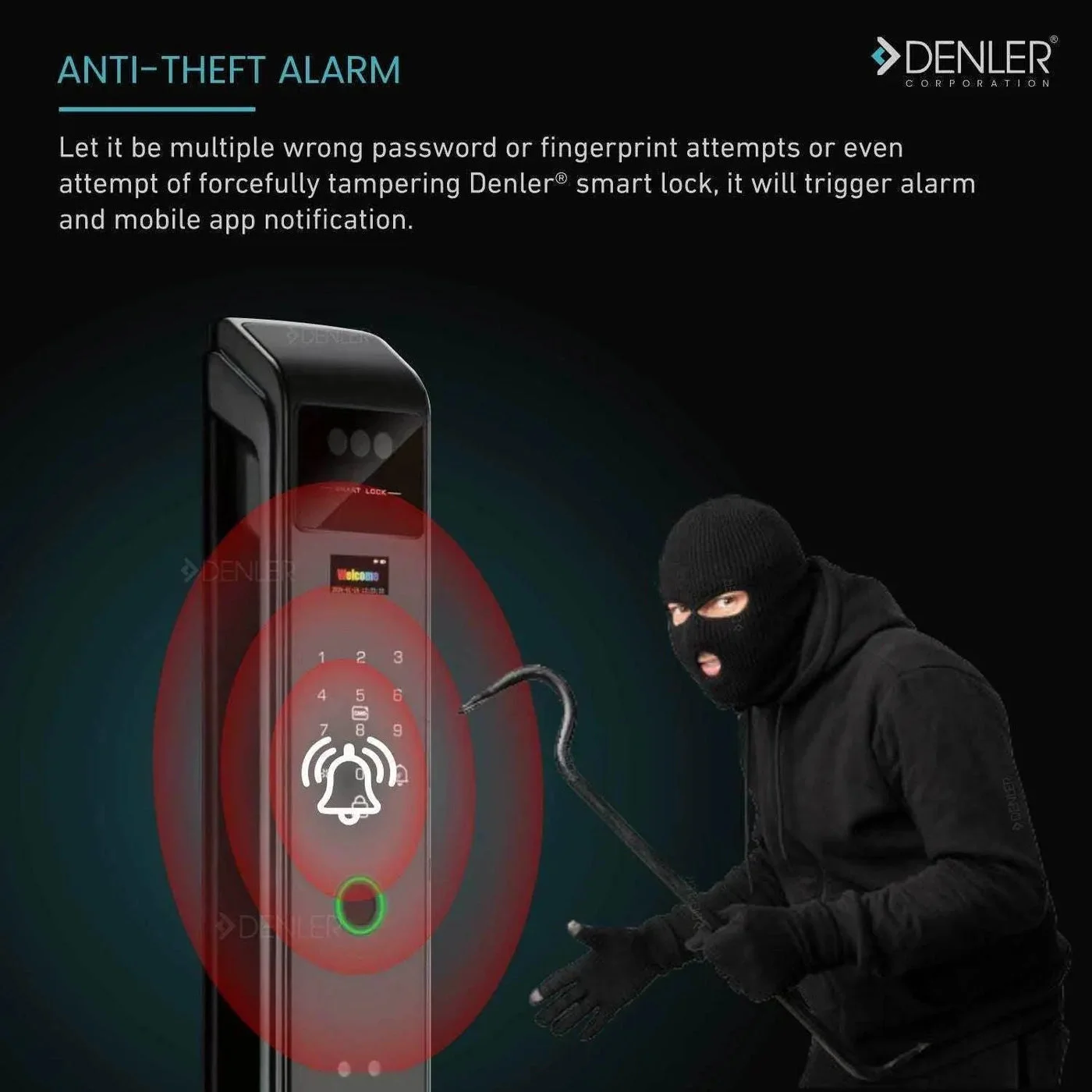 Denler F6 product image 4