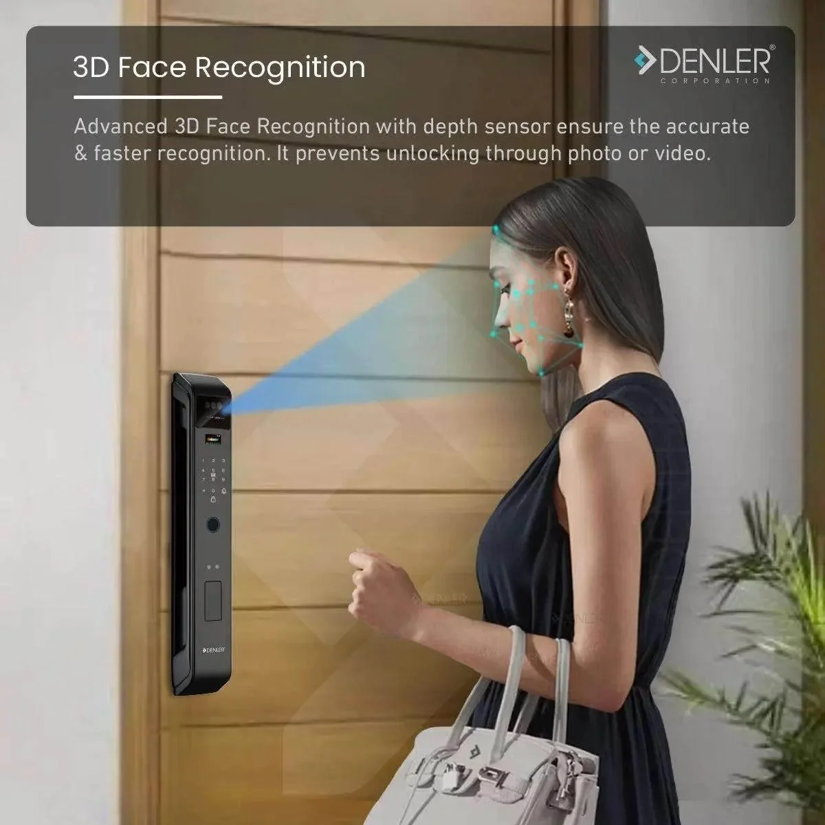 Denler F6 product image 5