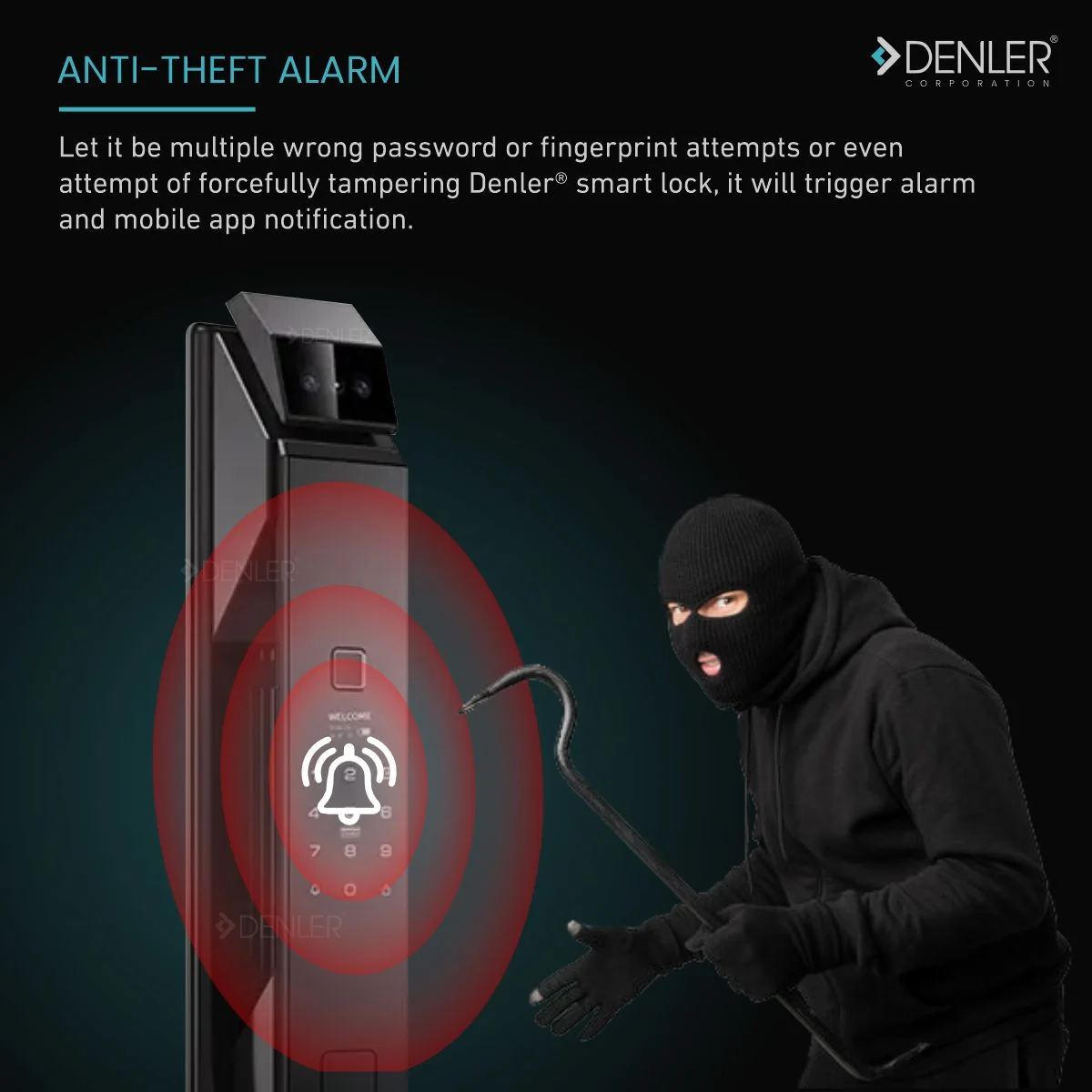Denler FLv4 product image 4